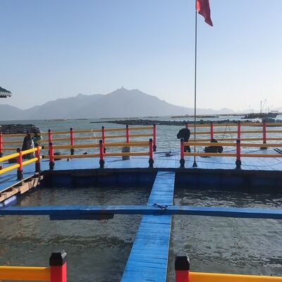 Integrated HDPE Square Shrimp Cage for Coastal Seawater Aquaculture