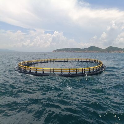 Customizable HDPE Fish Cage Complete Aquaculture Solution with Installation Guidance