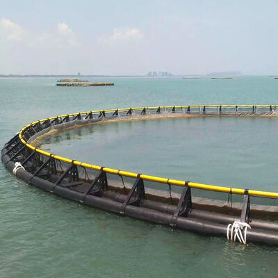 Custom Circumference HDPE Circular Deep‑Sea Cage, Industrial Aquaculture Equipment
