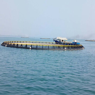 Large‑Volume Deep‑Water HDPE Fish Cage, Ample Space For Fish & Shrimp Movement