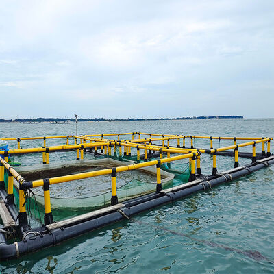 Round vs. Square: Which Lake Fishing Cage Fits Your Farm Best? Inquiry Now!