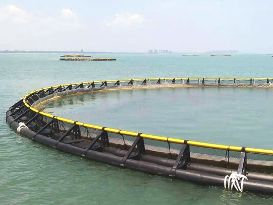 Affordable HDPE Fish Cage, Production Up to 20 Tons, Starting at USD 2000