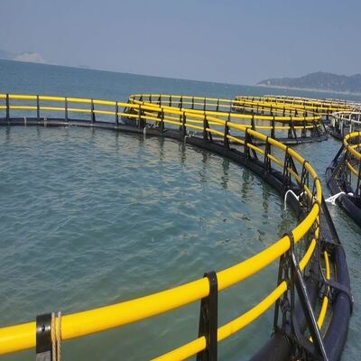Custom Size HDPE Aquaculture Fish Cage, Round & Square Customizable Net Cage