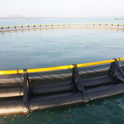 HDPE Anti‑Corrosion Circular Fish Cage With Cover Net For Sea Farming