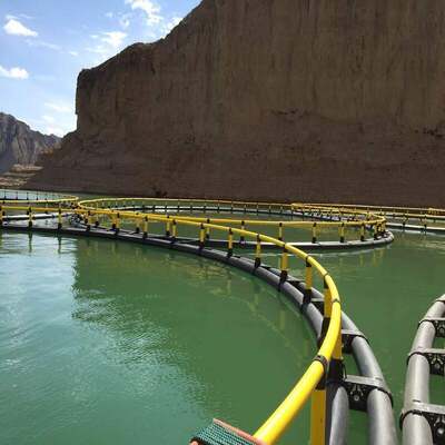 Standard Round Gravity Type Fish Cage