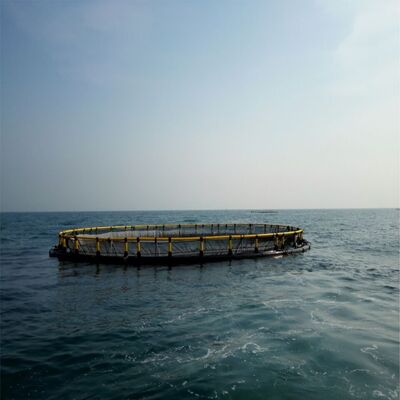 HDPE Floating Fish Cage with Single Point Mooring System
