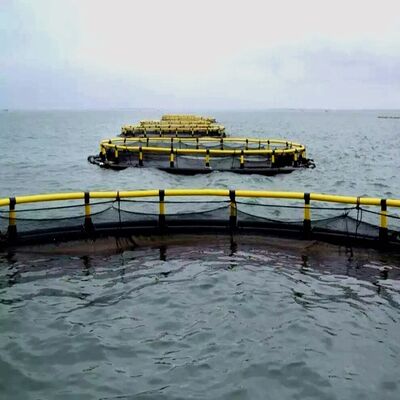 Anti-Aging HDPE Net Cage with Custom Nylon Net Fabric
