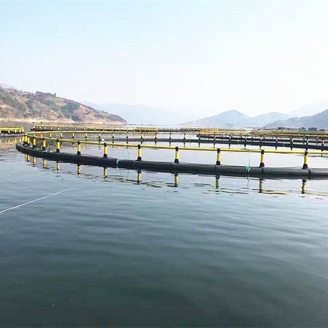 CE Certified HDPE Aquaculture Fish Farming Equipment Fish Cage Delivery in Two Weeks
