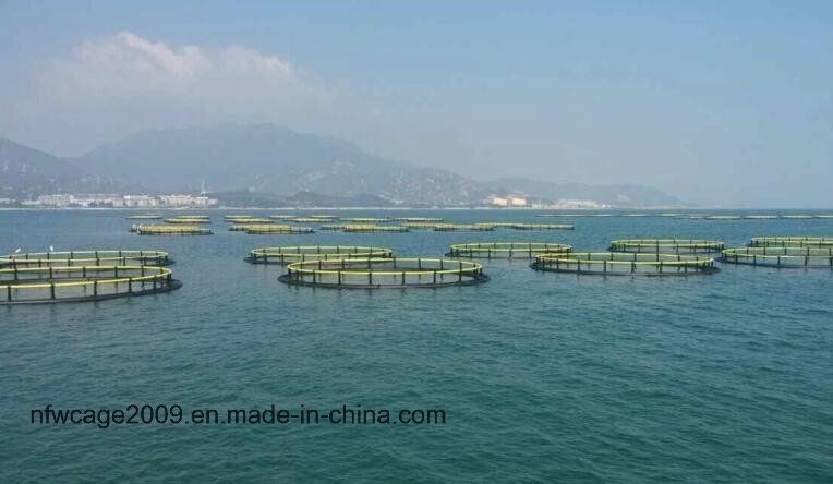 10m 50m Diameter Round Environmental Friendly Floating Cage System for Fish Farming and Eco-Friendly