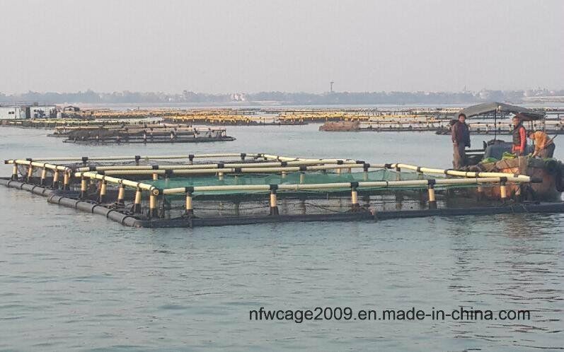 HDPE Square Aquaculture Fish Farm Cage OEM Floating Pipe 200mm/250mm/315mm/350mm/400mm