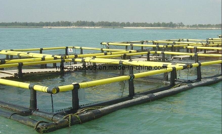 HDPE Pipe Square Aquaculture Fish Cage Floating For Floating Fish Farming System