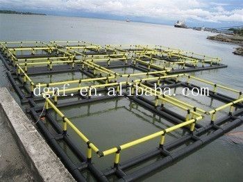 4sq. M To 200sq. M Circular Floating Fish Cage Diameter 6m To 90m