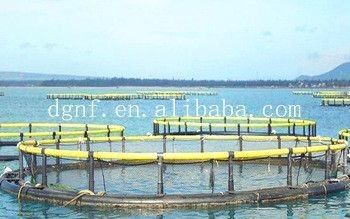4sq. M To 200sq. M Circular Floating Fish Cage Diameter 6m To 90m