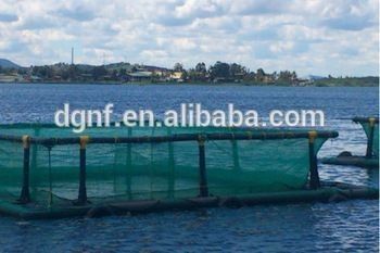 Aquatic Floating HDPE Fish Cages Anti Wave Anti Wind For Tilapia