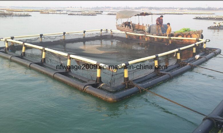Aquatic Floating HDPE Fish Cages Anti Wave Anti Wind For Tilapia