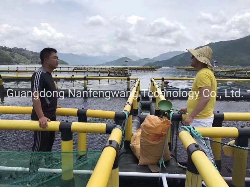 Fish Farming Ocean Cage Culture System With Customization