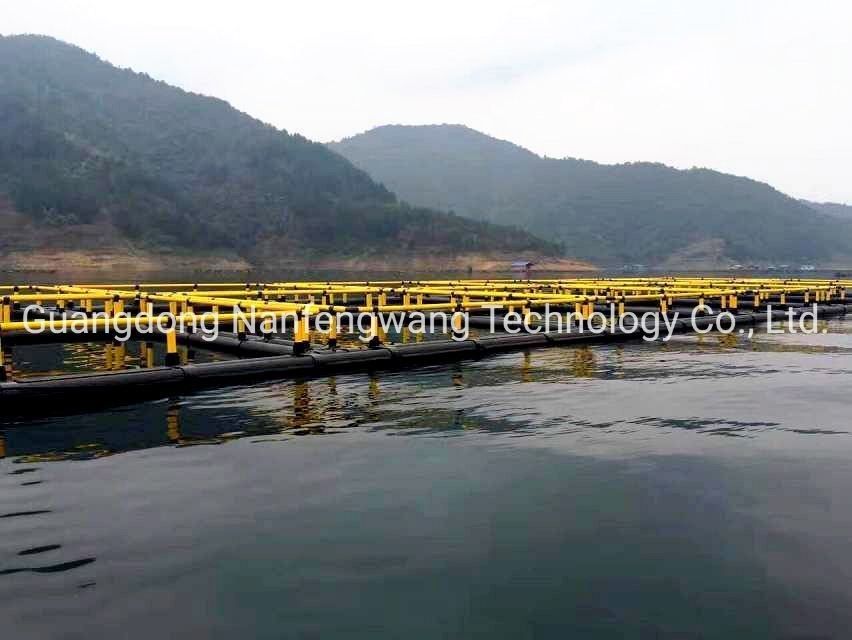 HDPE Pipe Floating Fish Cage 4X4m Square For Lake Or River Cage Fish Farming