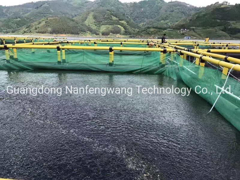 HDPE Pipe Floating Fish Cage 4X4m Square For Lake Or River Cage Fish Farming