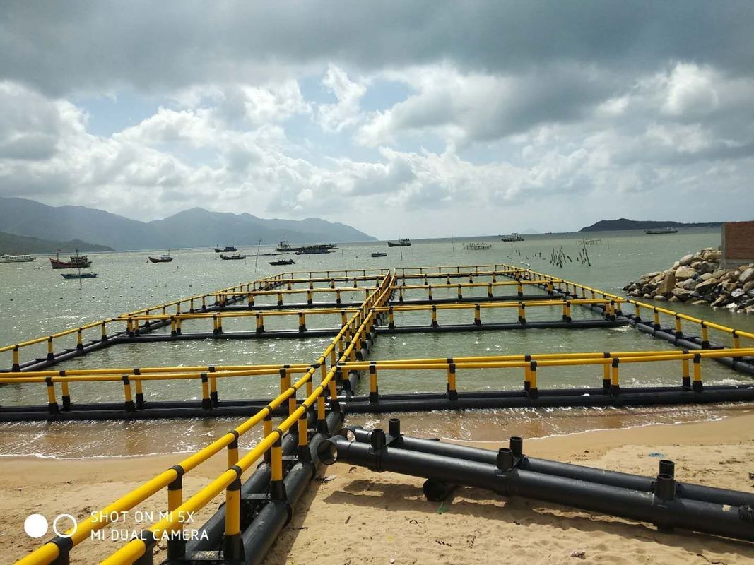 Square HDPE Fish Cage 6X6m Round Dependable For Floating Fish Farming In Lake Or River