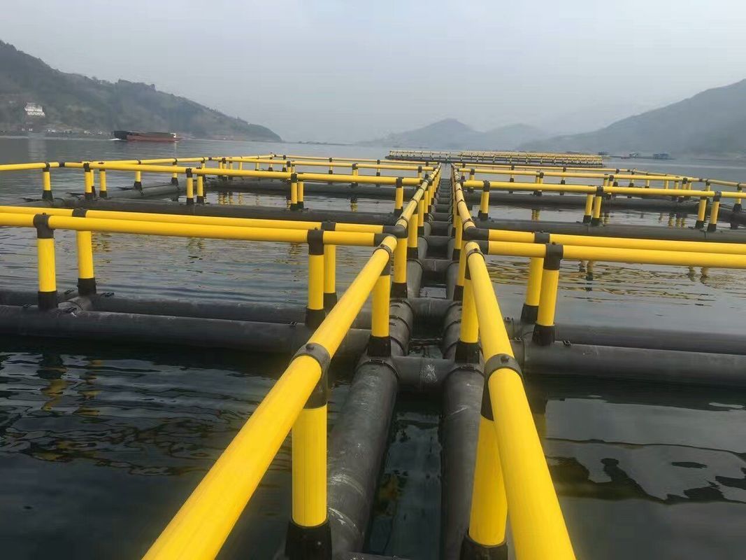 Square HDPE Fish Cage 6X6m Round Dependable For Floating Fish Farming In Lake Or River