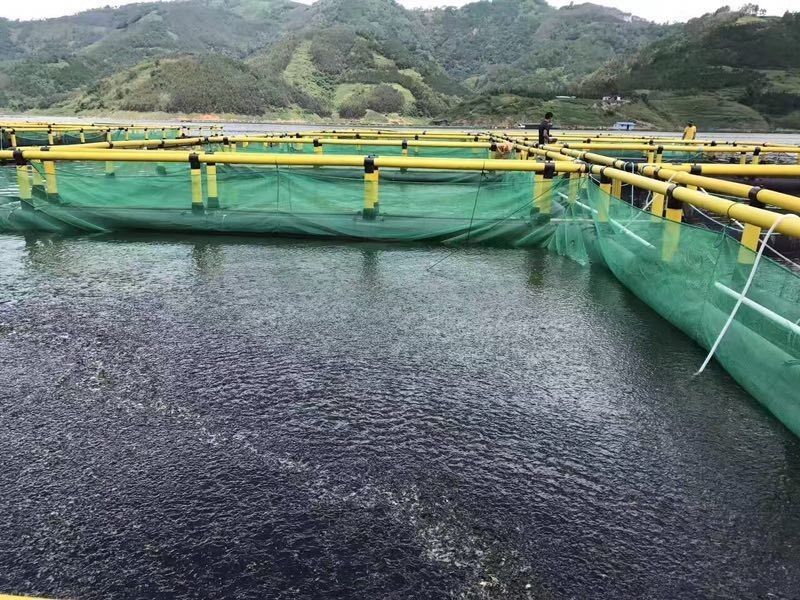 Square HDPE Fish Cage 6X6m Round Dependable For Floating Fish Farming In Lake Or River