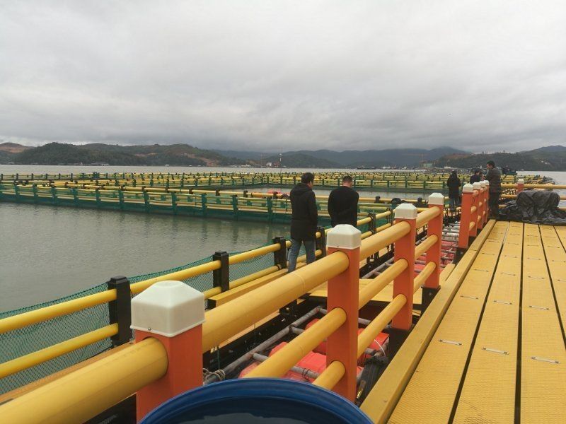 Square Plastic Aquaculture Net Cage with Fish Net and Cleaner Floating Pipe 200mm/400mm/500mm