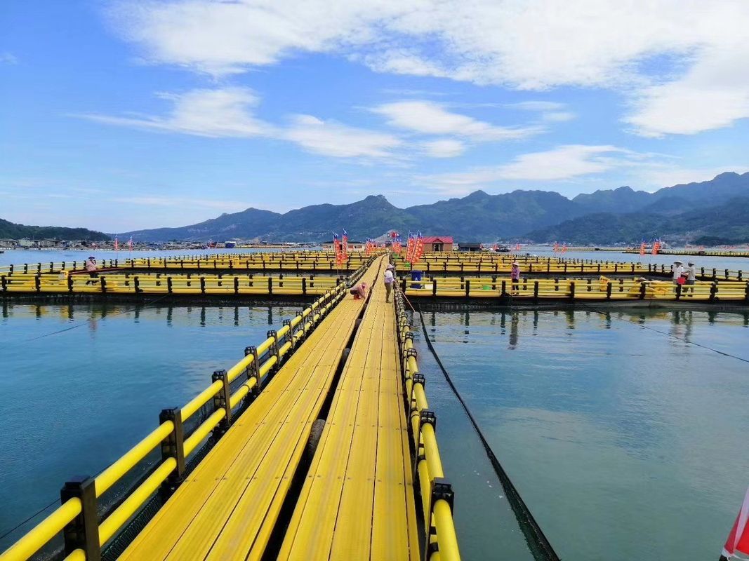 Square Leisure Aquaculture Fish Cage With 400mm Floating Pipe
