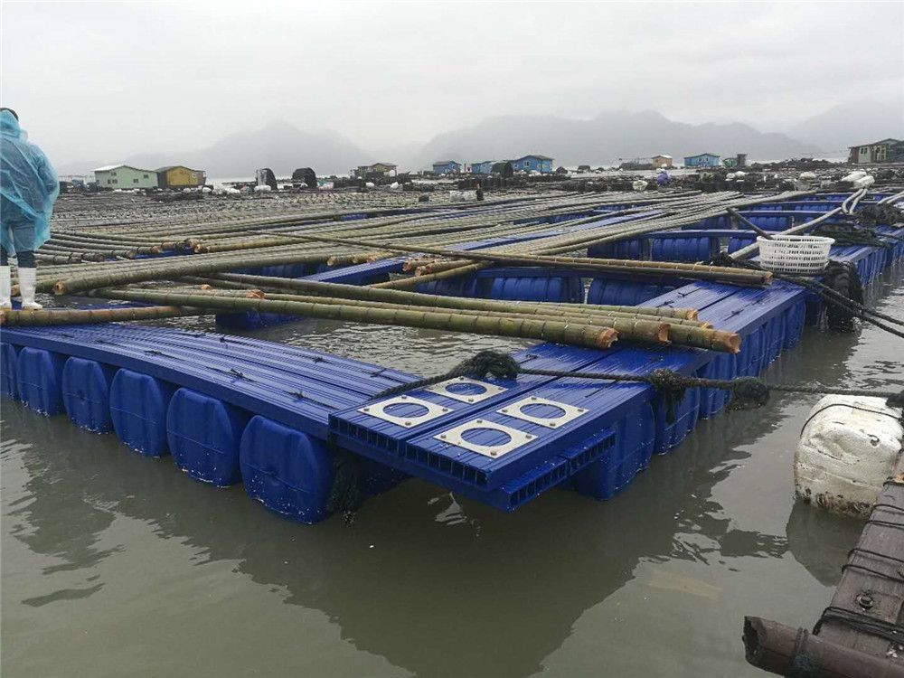 Dock Pontoon Floating Fish Cage Harvesting Machinery Type For Fishing Auxiliary Machinery