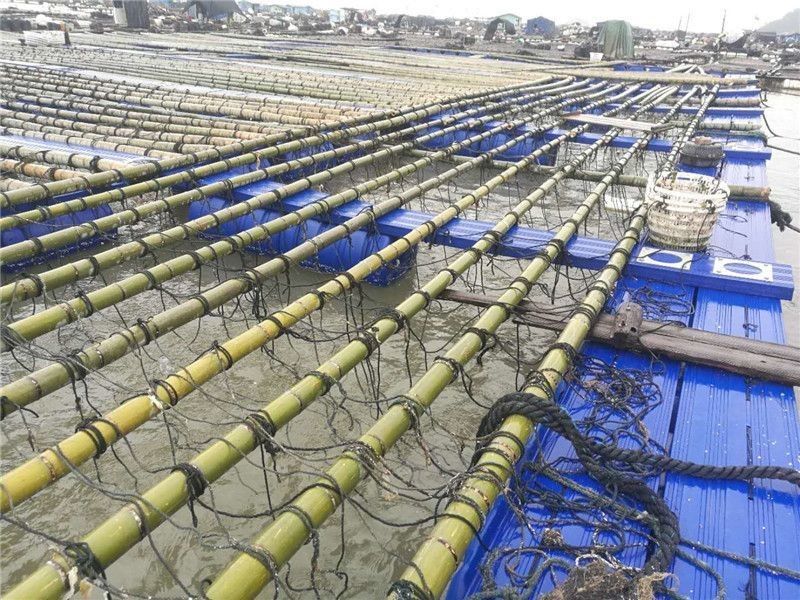 Dock Pontoon Floating Fish Cage Harvesting Machinery Type For Fishing Auxiliary Machinery