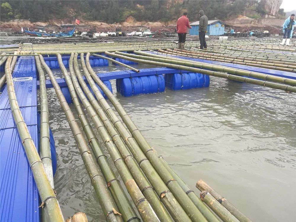 Dock Pontoon Floating Fish Cage Harvesting Machinery Type For Fishing Auxiliary Machinery