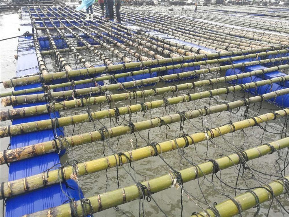 Fishing Machinery Plastic Pontoon Fish Farming Cage with Hydraulic Power Source and Fishing Gear Winch Type