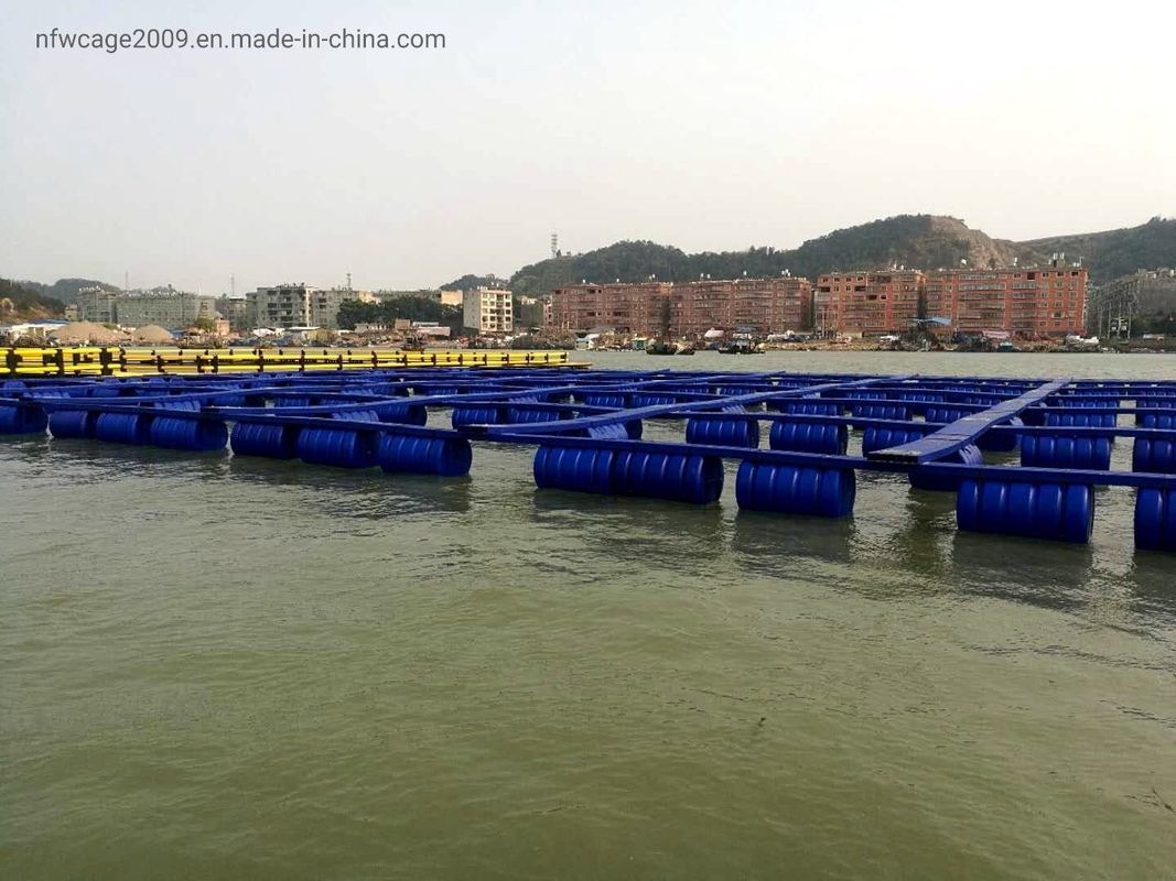 Square Pontoon Floating Fish Cage Diameter 10m To 60m Customized For Aquaculture Fish Farming
