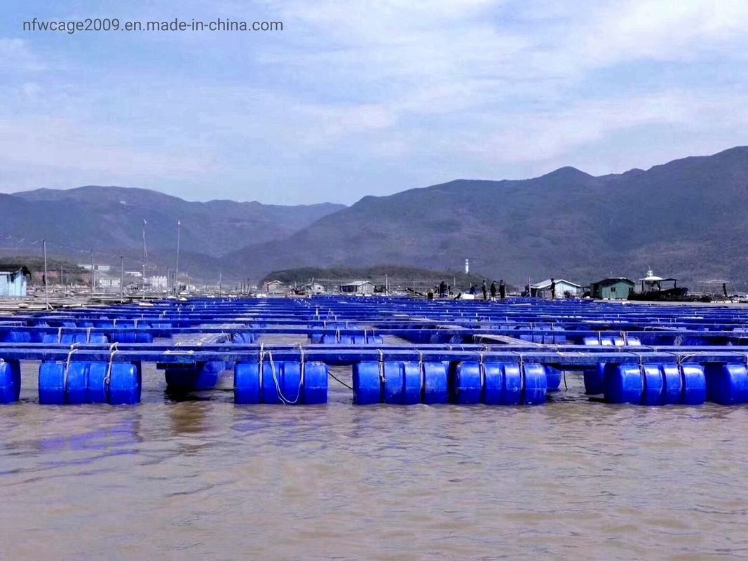 Square Pontoon Floating Fish Cage Diameter 10m To 60m Customized For Aquaculture Fish Farming