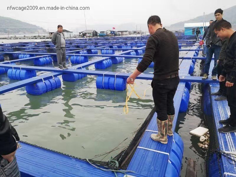 Square Pontoon Floating Fish Cage Diameter 10m To 60m Customized For Aquaculture Fish Farming