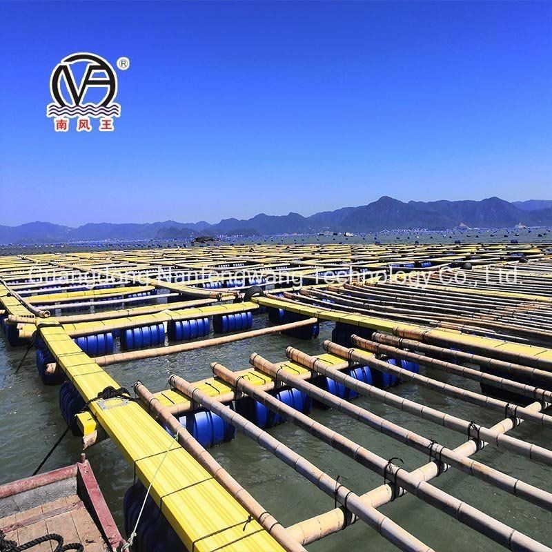 10m 60m Diameter Square HDPE Plastic Modular Pontoon Cage Culture for Aquaculture