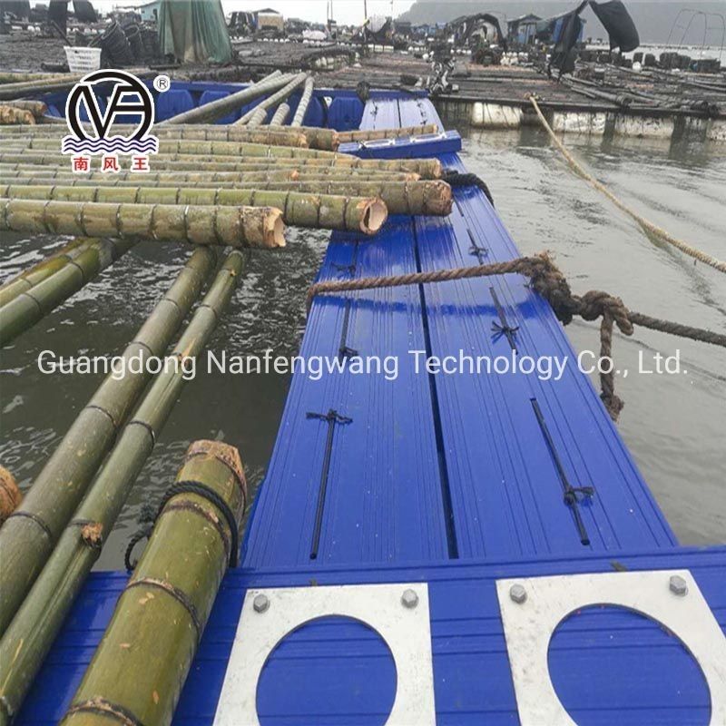 10m 60m Diameter Square HDPE Plastic Modular Pontoon Cage Culture for Aquaculture