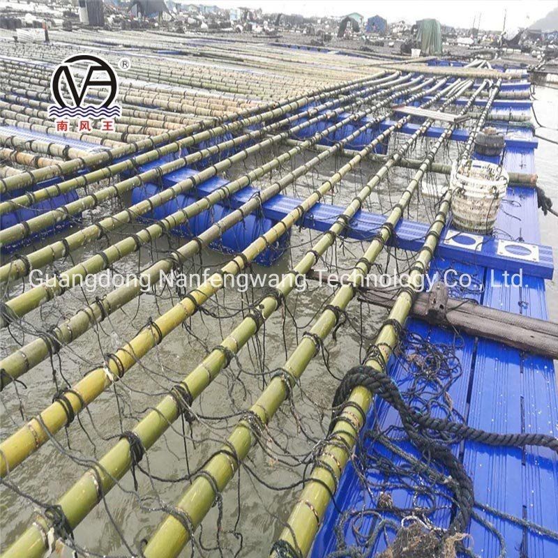 Square Pontoon Aquaculture Fish Cage Customization Diameter 10m - 60m