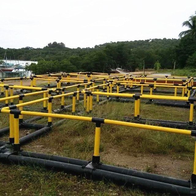 Semi Open Sea Anti Wind Fish Farming Net Cage In Green Or Yellow Color