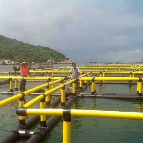 Semi Open Sea Anti Wind Fish Farming Net Cage In Green Or Yellow Color