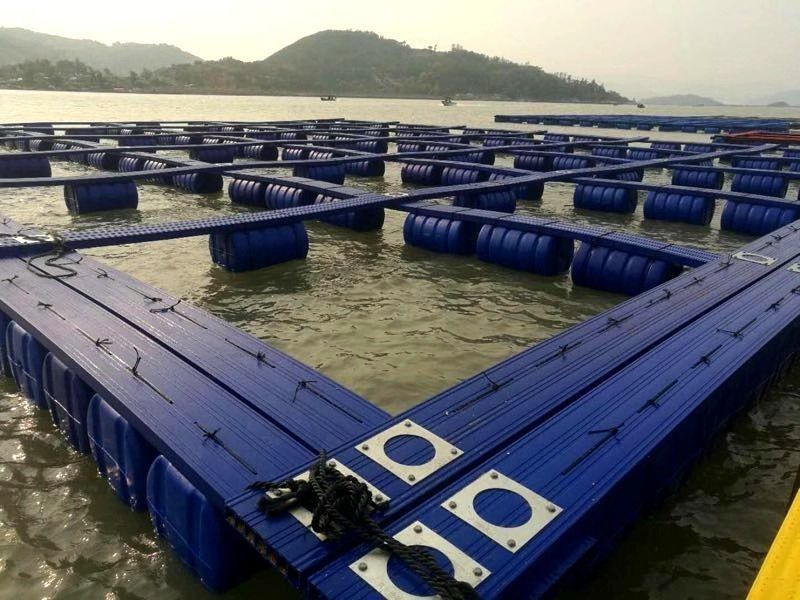 High Buoyancy Square Pontoon Floating Cage Hassle Free Assembly And Disassembly