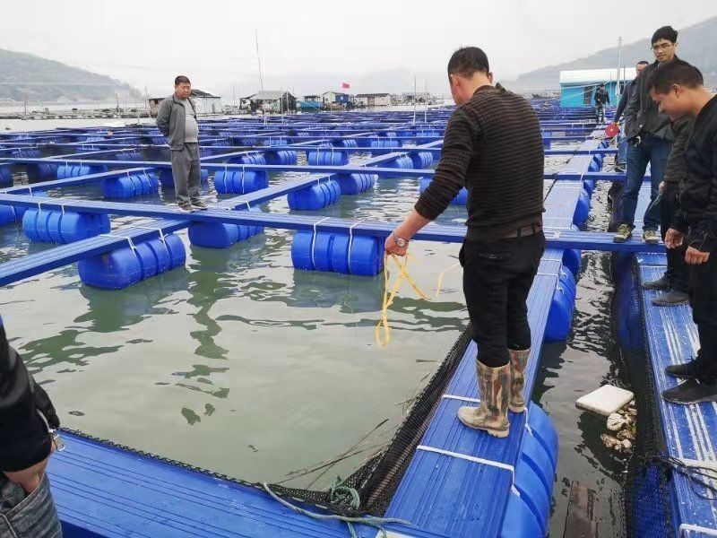 High Buoyancy Square Pontoon Floating Cage Hassle Free Assembly And Disassembly