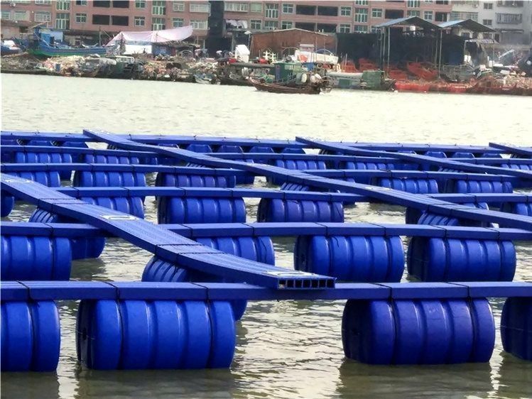 High Buoyancy Square Pontoon Floating Cage Hassle Free Assembly And Disassembly