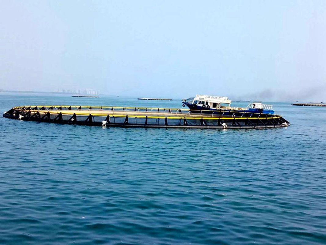 HDPE Pipe Floating Mariculture Circular Fish Cage With Diameter 6m To 90m
