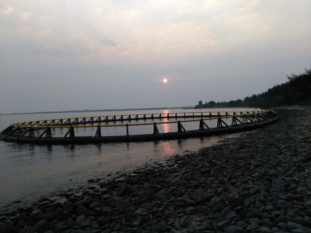 Lake / Sea Aquaculture Fish Cage Floating with Diameter 10m - 60m