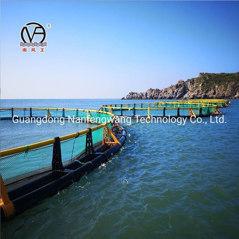 1 Year After-sales Service HDPE Round Floating Cage for Marine Fish Culture