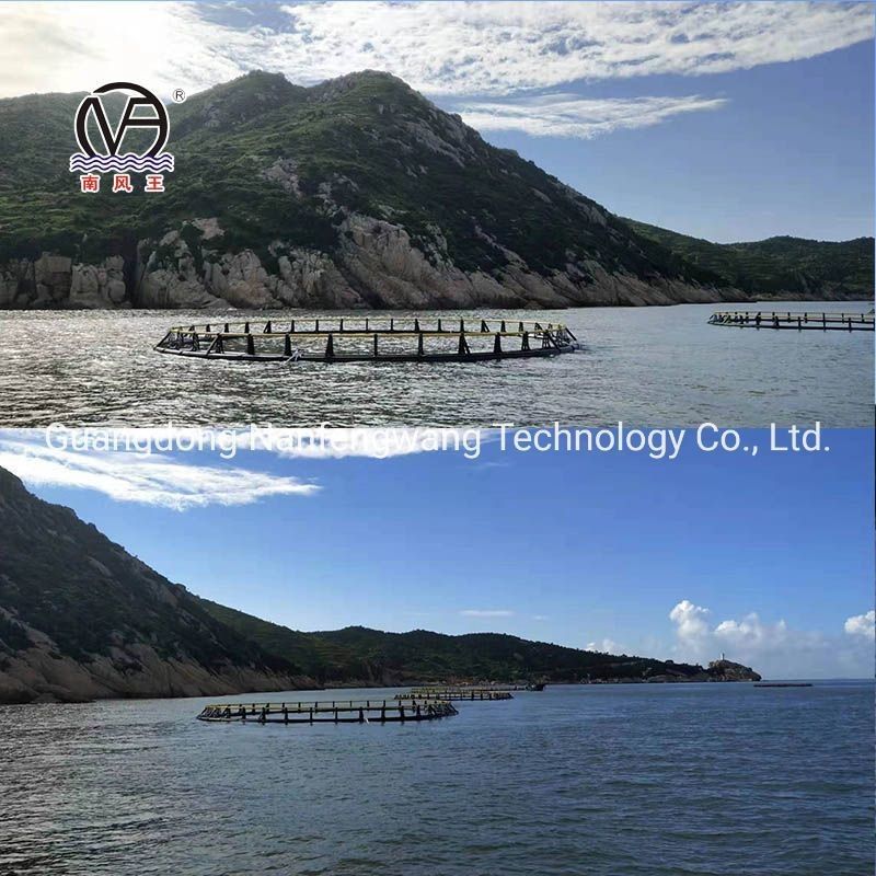 1 Year After-sales Service HDPE Round Floating Cage for Marine Fish Culture