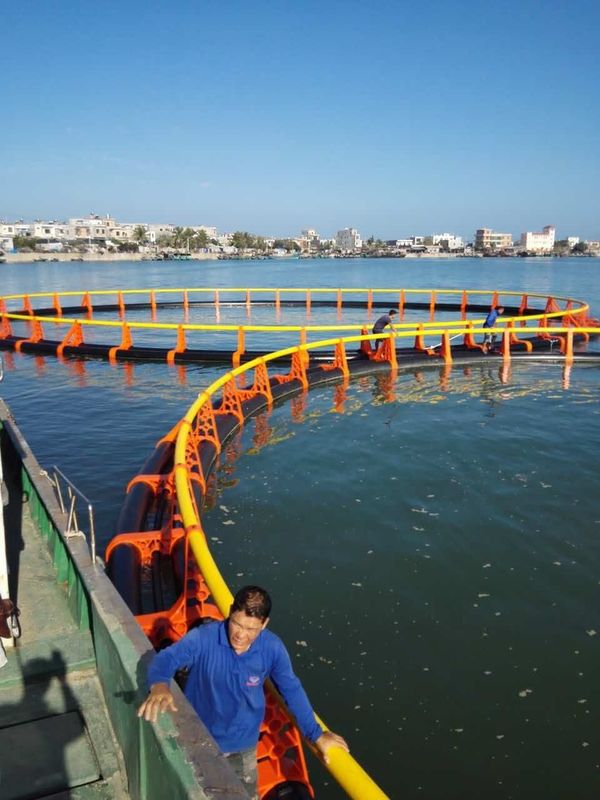 Aquatic Products Sea And Lake Aquaculture Fish Cage For Material Handling Machinery