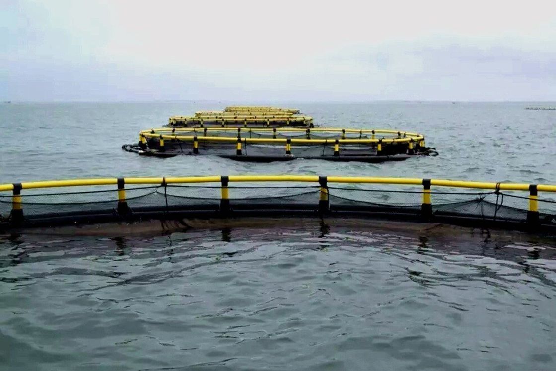 HDPE Pipe Square Fish Farming Cage Floating Anti Wind For Aquaculture Tools