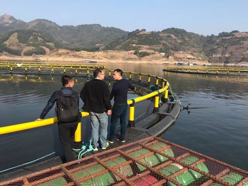 PE Bracket HDPE Fish Cage Trap 10m 60m Diameter Current Resistant