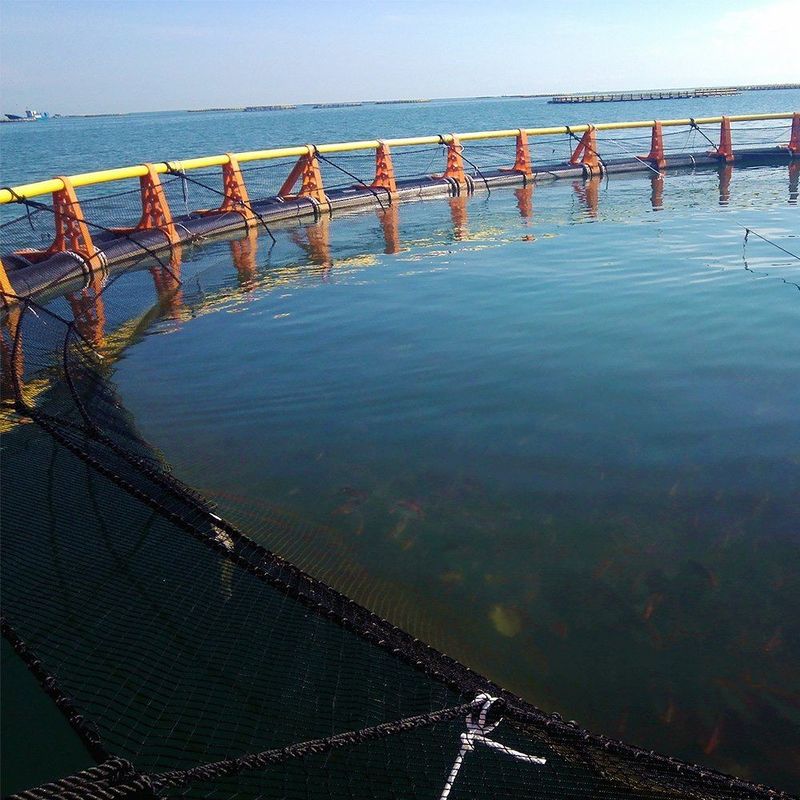 Floating HDPE Fish Cage Diameter 10m - 50m For Sea Fish Farming